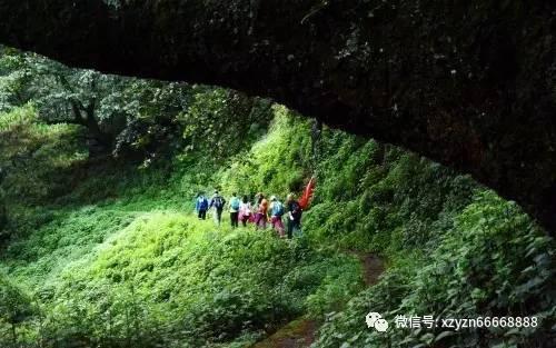 济宁市泗水县泗张镇开展“迎新春 过廉节”送廉政春联活动