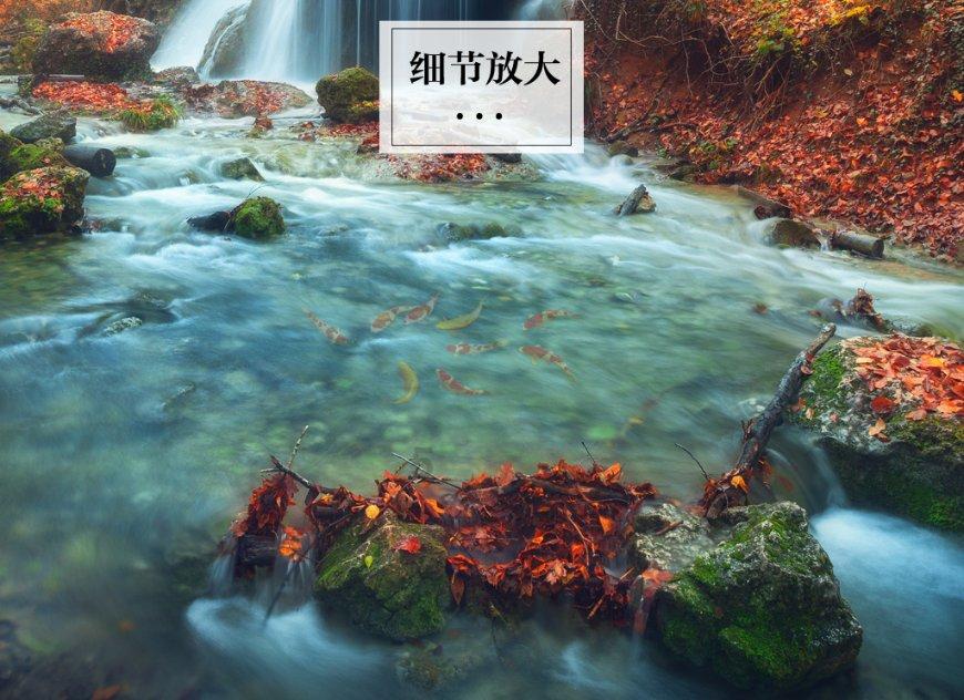 拯救龙精灵