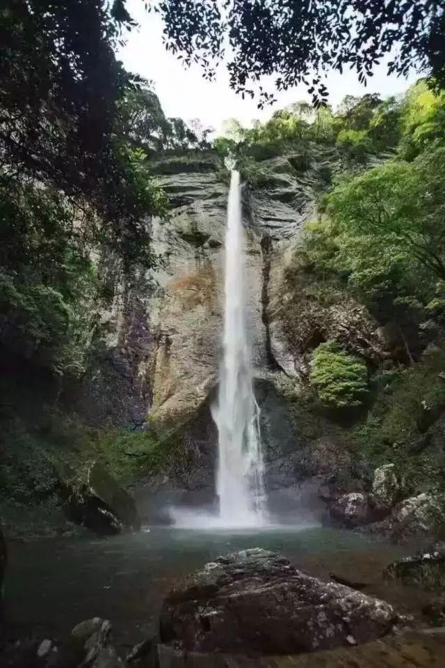 为50余对金婚夫妇补拍婚纱照